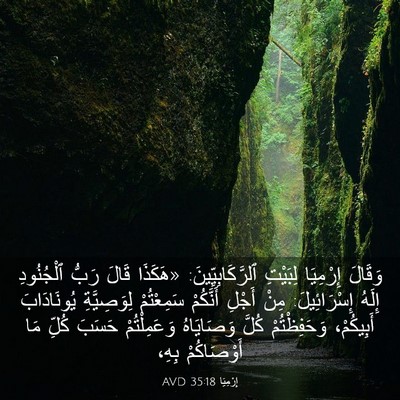Picture 03 - إِرْمِيَا 35:18 AVD - وَقَالَ إِرْمِيَا - Bible Verse Picture