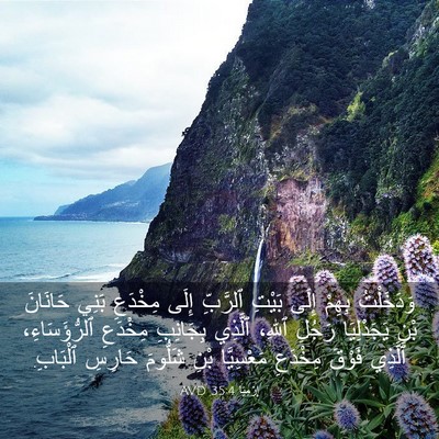 Picture 03 - إِرْمِيَا 35:4 AVD - وَدَخَلْتُ بِهِمْ إِلَى - Bible Verse Picture