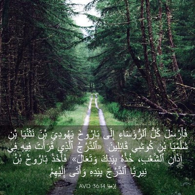 Picture 03 - إِرْمِيَا 36:14 AVD - فَأَرْسَلَ كُلُّ - Bible Verse Picture