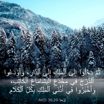 Picture 03 - إِرْمِيَا 36:20 AVD - ثُمَّ دَخَلُوا إِلَى - Bible Verse Picture