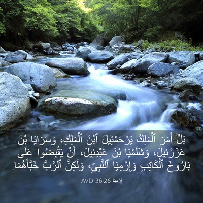 Picture 03 - إِرْمِيَا 36:26 AVD - بَلْ أَمَرَ ٱلْمَلِكُ - Bible Verse Picture