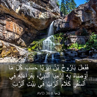 Picture 03 - إِرْمِيَا 36:8 AVD - فَفَعَلَ بَارُوخُ بْنُ - Bible Verse Picture