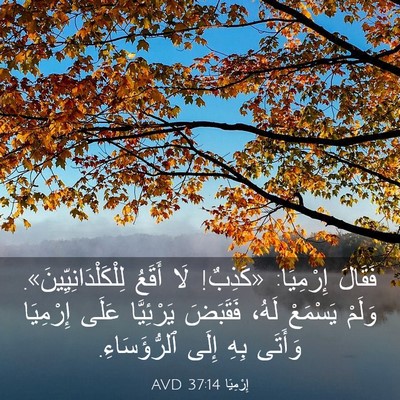 Picture 03 - إِرْمِيَا 37:14 AVD - فَقَالَ إِرْمِيَا: - Bible Verse Picture