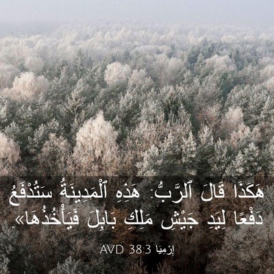 Picture 03 - إِرْمِيَا 38:3 AVD - هَكَذَا قَالَ ٱلرَّبُّ: - Bible Verse Picture