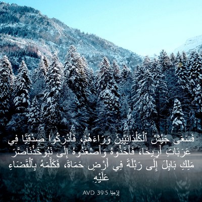 Picture 03 - إِرْمِيَا 39:5 AVD - فَسَعَى جَيْشُ - Bible Verse Picture