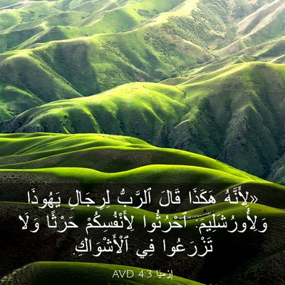 Picture 03 - إِرْمِيَا 4:3 AVD - «لِأَنَّهُ هَكَذَا قَالَ - Bible Verse Picture