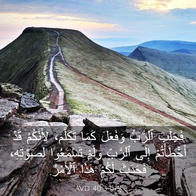 Picture 03 - إِرْمِيَا 40:3 AVD - فَجَلَبَ ٱلرَّبُّ - Bible Verse Picture