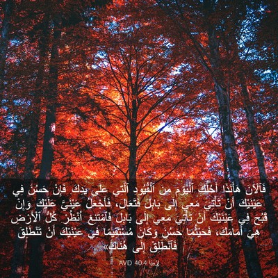 Picture 03 - إِرْمِيَا 40:4 AVD - فَٱلْآنَ هَأَنَذَا - Bible Verse Picture