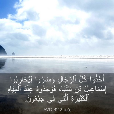 Picture 03 - إِرْمِيَا 41:12 AVD - أَخَذُوا كُلَّ ٱلرِّجَالِ - Bible Verse Picture