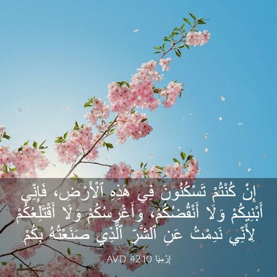 Picture 03 - إِرْمِيَا 42:10 AVD - إِنْ كُنْتُمْ تَسْكُنُونَ - Bible Verse Picture