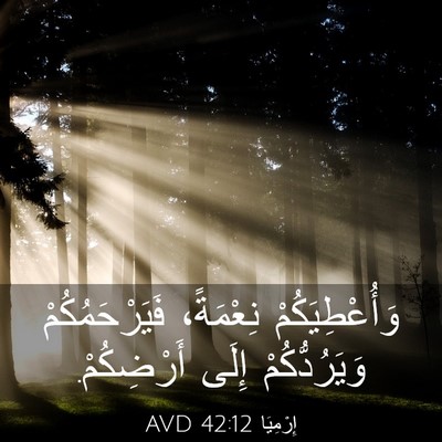 Picture 03 - إِرْمِيَا 42:12 AVD - وَأُعْطِيَكُمْ نِعْمَةً، - Bible Verse Picture