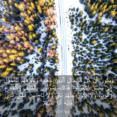 Picture 03 - إِرْمِيَا 42:17 AVD - وَيَكُونُ أَنَّ كُلَّ - Bible Verse Picture