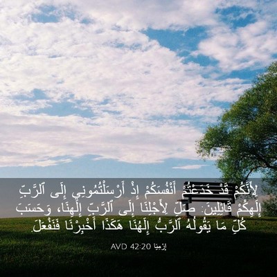Picture 03 - إِرْمِيَا 42:20 AVD - لِأَنَّكُمْ قَدْ - Bible Verse Picture