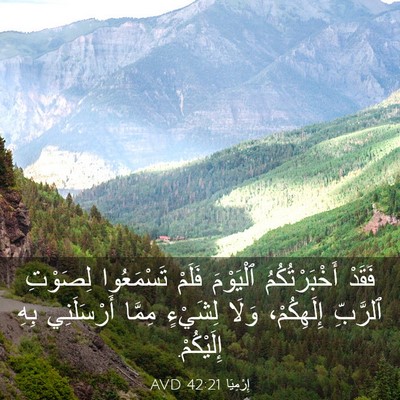 Picture 03 - إِرْمِيَا 42:21 AVD - فَقَدْ أَخْبَرْتُكُمُ - Bible Verse Picture