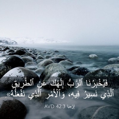 Picture 03 - إِرْمِيَا 42:3 AVD - فَيُخْبِرُنَا ٱلرَّبُّ - Bible Verse Picture