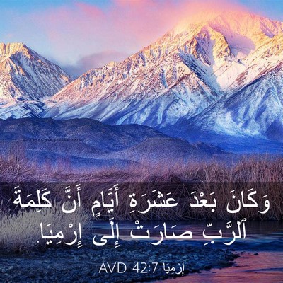 Picture 03 - إِرْمِيَا 42:7 AVD - وَكَانَ بَعْدَ عَشَرَةِ - Bible Verse Picture