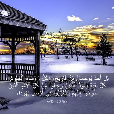 Picture 03 - إِرْمِيَا 43:5 AVD - بَلْ أَخَذَ يُوحَانَانُ - Bible Verse Picture