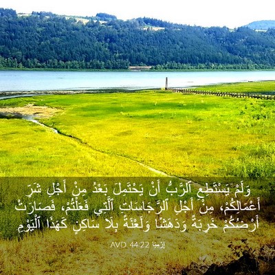 Picture 03 - إِرْمِيَا 44:22 AVD - وَلَمْ يَسْتَطِعِ - Bible Verse Picture