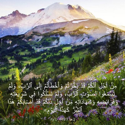 Picture 03 - إِرْمِيَا 44:23 AVD - مِنْ أَجْلِ أَنَّكُمْ قَدْ - Bible Verse Picture