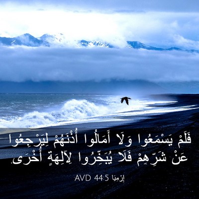 Picture 03 - إِرْمِيَا 44:5 AVD - فَلَمْ يَسْمَعُوا وَلَا - Bible Verse Picture