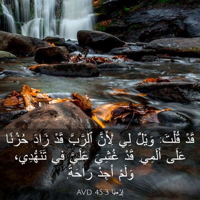 Picture 03 - إِرْمِيَا 45:3 AVD - قَدْ قُلْتَ: وَيْلٌ لِي - Bible Verse Picture