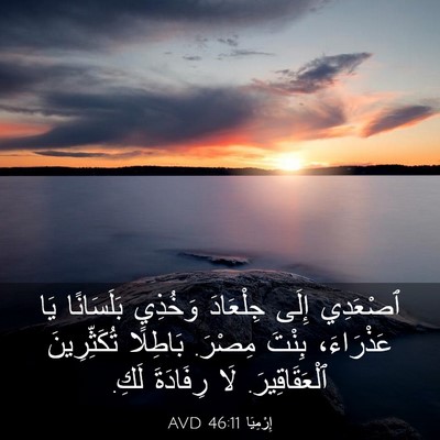Picture 03 - إِرْمِيَا 46:11 AVD - ٱصْعَدِي إِلَى جِلْعَادَ - Bible Verse Picture