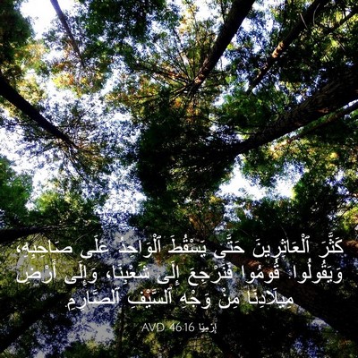 Picture 03 - إِرْمِيَا 46:16 AVD - كَثَّرَ ٱلْعَاثِرِينَ - Bible Verse Picture
