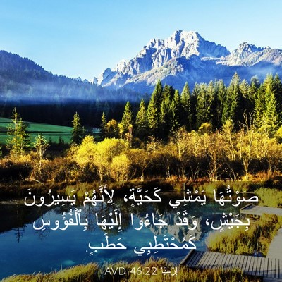 Picture 03 - إِرْمِيَا 46:22 AVD - صَوْتُهَا يَمْشِي - Bible Verse Picture