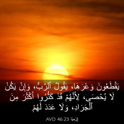 Picture 03 - إِرْمِيَا 46:23 AVD - يَقْطَعُونَ وَعْرَهَا، - Bible Verse Picture