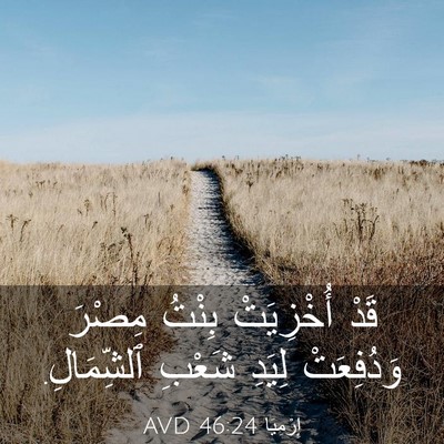 Picture 03 - إِرْمِيَا 46:24 AVD - قَدْ أُخْزِيَتْ بِنْتُ - Bible Verse Picture