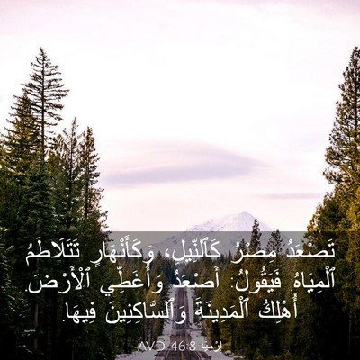 Picture 03 - إِرْمِيَا 46:8 AVD - تَصْعَدُ مِصْرُ - Bible Verse Picture