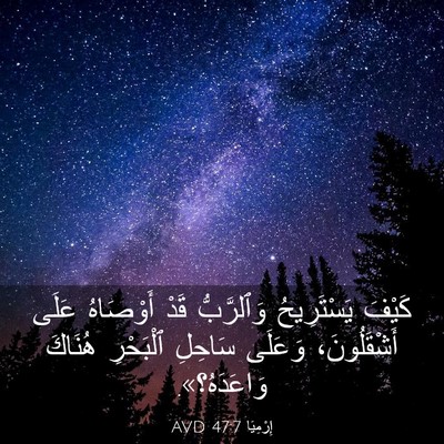 Picture 03 - إِرْمِيَا 47:7 AVD - كَيْفَ يَسْتَرِيحُ - Bible Verse Picture