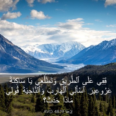 Picture 03 - إِرْمِيَا 48:19 AVD - قِفِي عَلَى ٱلطَّرِيقِ - Bible Verse Picture