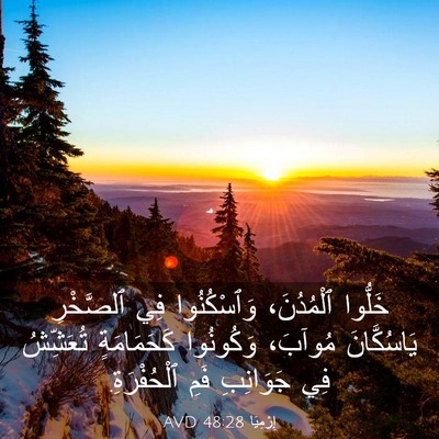 Picture 03 - إِرْمِيَا 48:28 AVD - خَلُّوا ٱلْمُدُنَ، - Bible Verse Picture