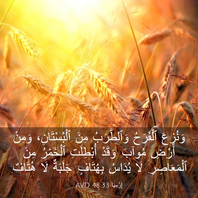 Picture 03 - إِرْمِيَا 48:33 AVD - وَنُزِعَ ٱلْفَرَحُ - Bible Verse Picture