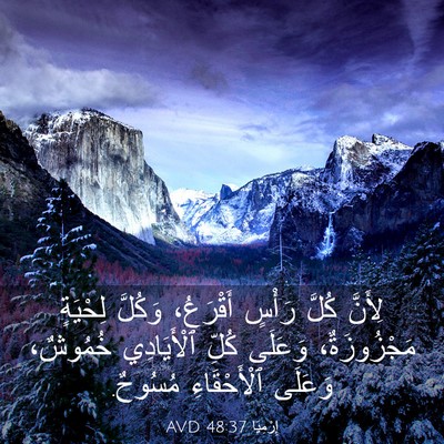 Picture 03 - إِرْمِيَا 48:37 AVD - لِأَنَّ كُلَّ رَأْسٍ - Bible Verse Picture