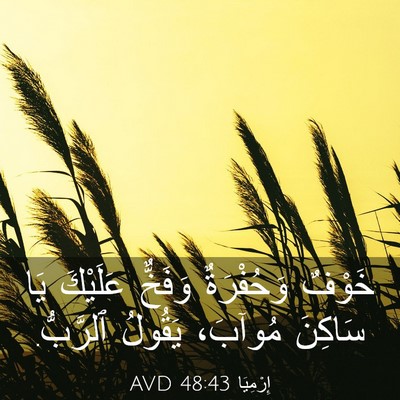 Picture 03 - إِرْمِيَا 48:43 AVD - خَوْفٌ وَحُفْرَةٌ وَفَخٌّ - Bible Verse Picture