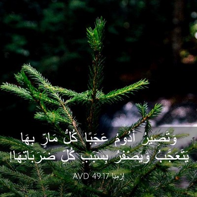 Picture 03 - إِرْمِيَا 49:17 AVD - وَتَصِيرُ أَدُومُ عَجَبًا. - Bible Verse Picture