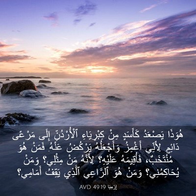 Picture 03 - إِرْمِيَا 49:19 AVD - هُوَذَا يَصْعَدُ كَأَسَدٍ - Bible Verse Picture