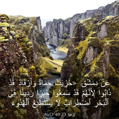 Picture 03 - إِرْمِيَا 49:23 AVD - عَنْ دِمَشْقَ: «خَزِيَتْ - Bible Verse Picture