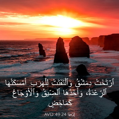Picture 03 - إِرْمِيَا 49:24 AVD - ٱرْتَخَتْ دِمَشْقُ - Bible Verse Picture