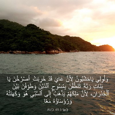 Picture 03 - إِرْمِيَا 49:3 AVD - وَلْوِلِي يَاحَشْبُونُ - Bible Verse Picture