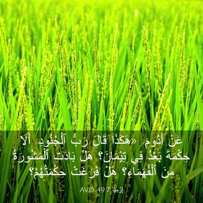 Picture 03 - إِرْمِيَا 49:7 AVD - عَنْ أَدُومَ: «هَكَذَا - Bible Verse Picture