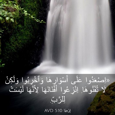 Picture 03 - إِرْمِيَا 5:10 AVD - «اِصْعَدُوا عَلَى - Bible Verse Picture