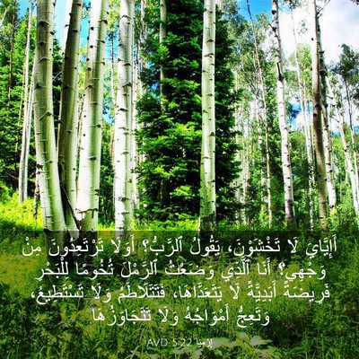 Picture 03 - إِرْمِيَا 5:22 AVD - أَإِيَّايَ لَا - Bible Verse Picture