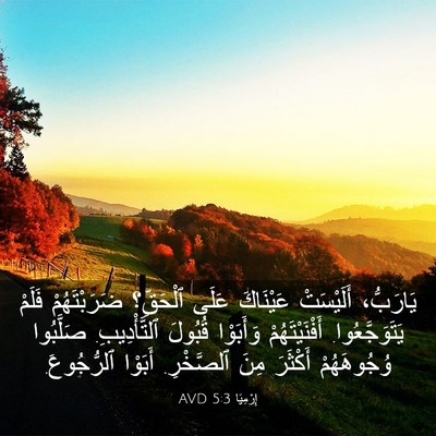 Picture 03 - إِرْمِيَا 5:3 AVD - يَارَبُّ، أَلَيْسَتْ - Bible Verse Picture