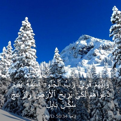 Picture 03 - إِرْمِيَا 50:34 AVD - وَلِيُّهُمْ قَوِيٌّ. رَبُّ - Bible Verse Picture