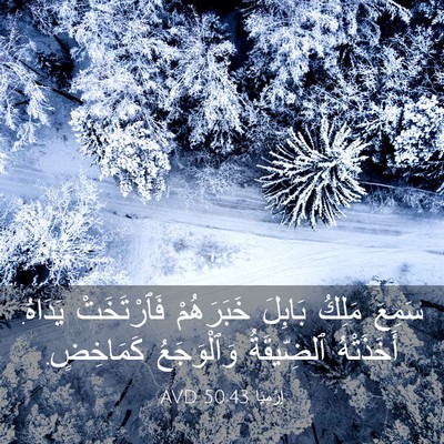 Picture 03 - إِرْمِيَا 50:43 AVD - سَمِعَ مَلِكُ بَابِلَ - Bible Verse Picture