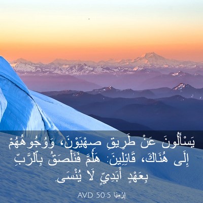 Picture 03 - إِرْمِيَا 50:5 AVD - يَسْأَلُونَ عَنْ طَرِيقِ - Bible Verse Picture