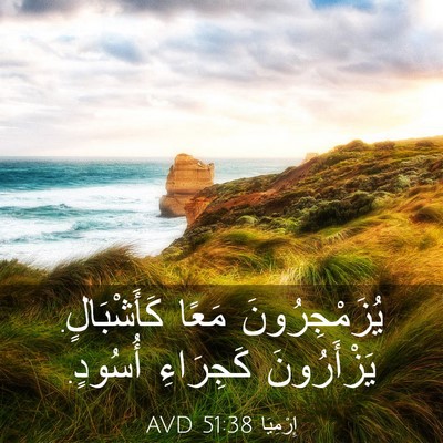 Picture 03 - إِرْمِيَا 51:38 AVD - يُزَمْجِرُونَ مَعًا - Bible Verse Picture
